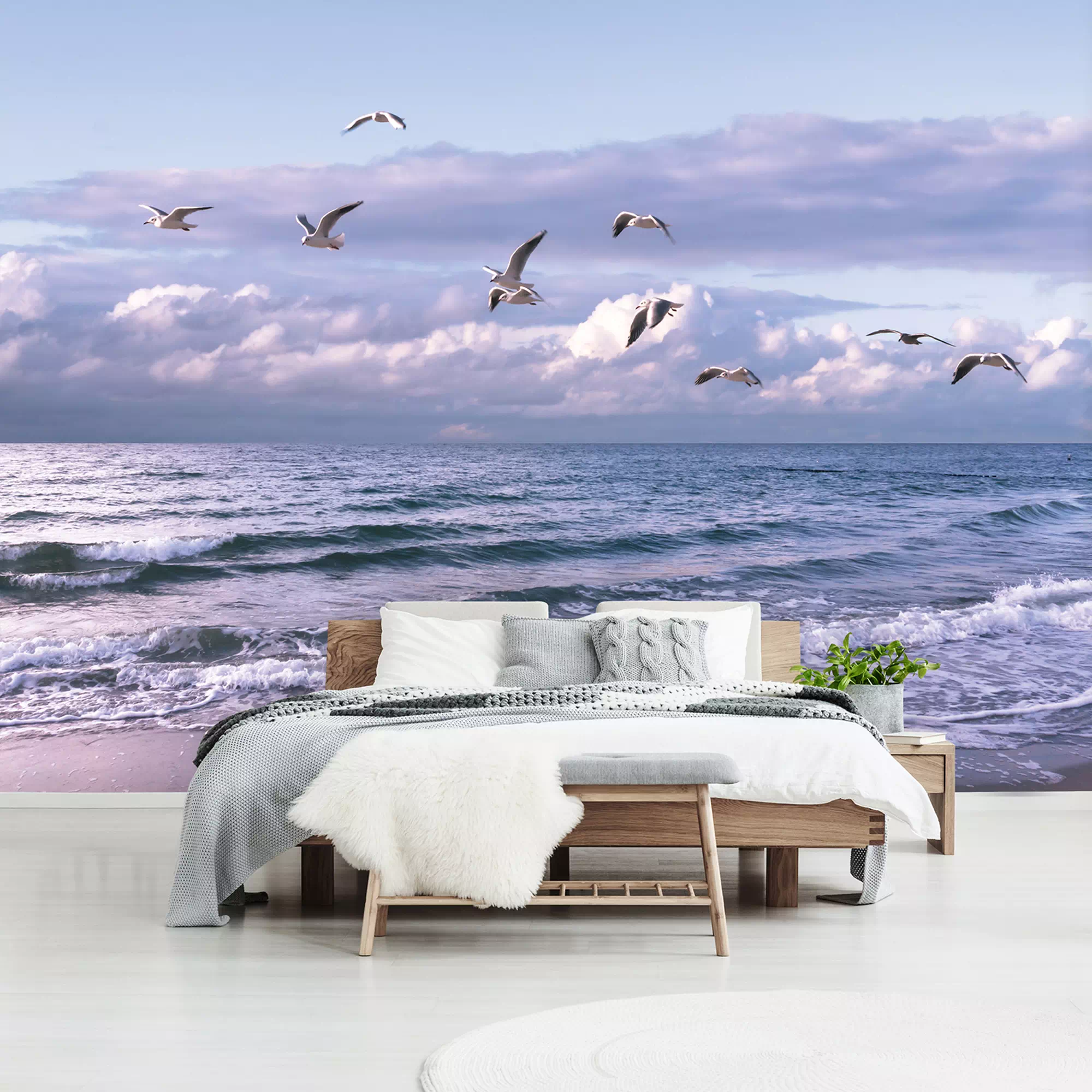 FOTOTAPETA 13051 MEWY