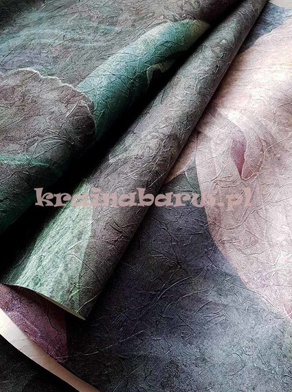 Fototapeta Lilie wodne Nymphea III