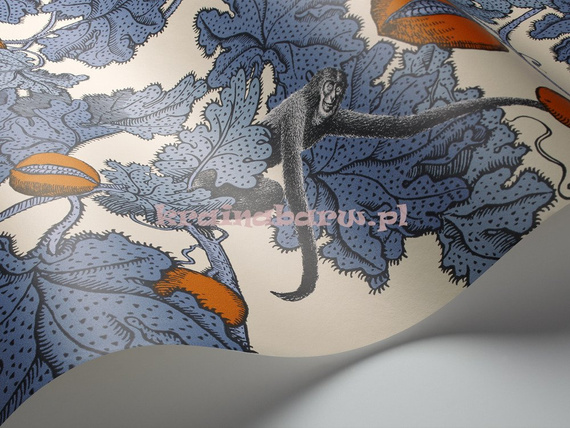 Tapeta 114/1003  Fornasetti Cole & Son