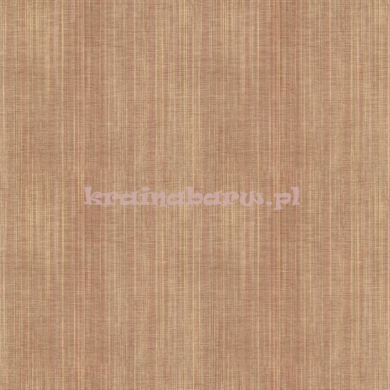 Tapeta z klejem ZN28061 Texture Style