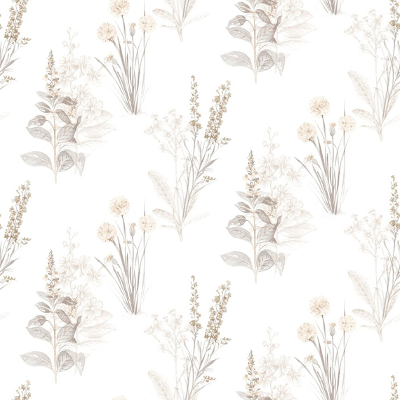 Tapeta Galerie AF42446 polne rośliny