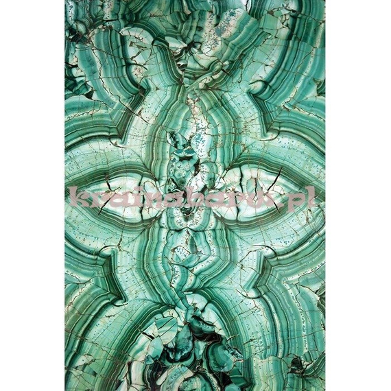 Panel SG428502M Sage II