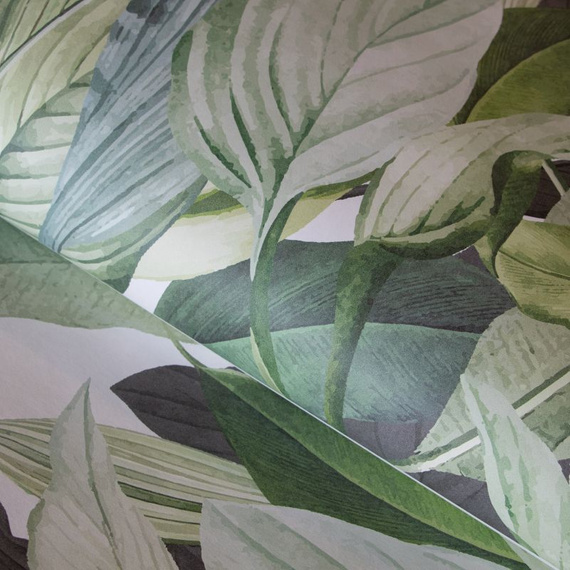 Tapeta Mural 18001 Tropical Forest Coconut