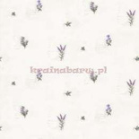 Tapeta z klejem KV27431 Fresh Kitchens 5