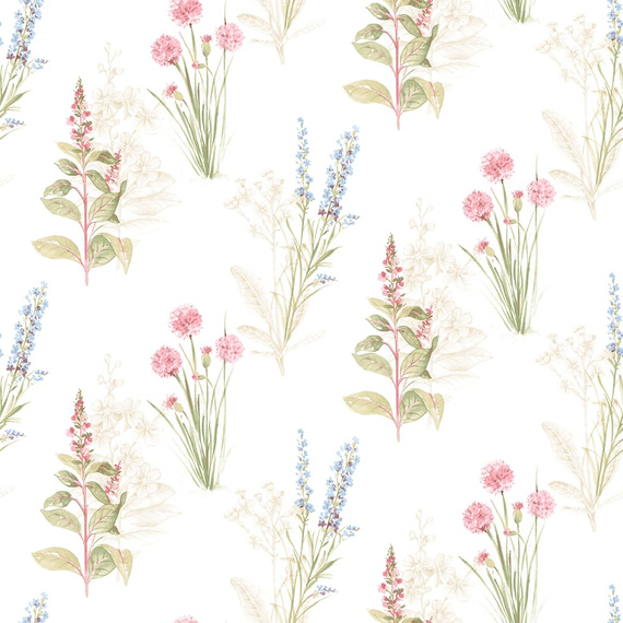 Tapeta Galerie AF42445 polne rośliny