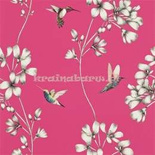 Tapeta 111058 Amazilia