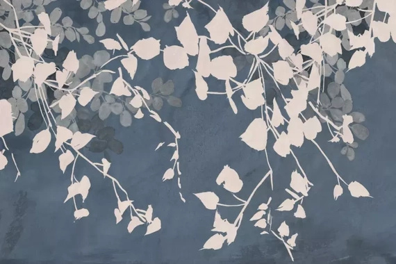 Fototapeta Glamora Adorni