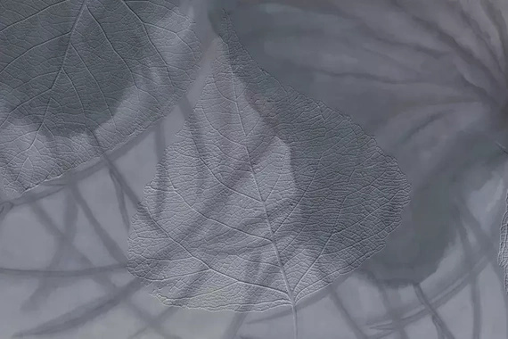 Fototapeta Glamora Gaia