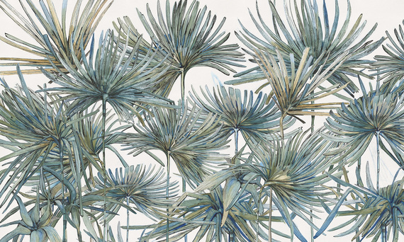 Fototapeta artystyczna Komodo Iguana liście