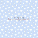 Tapeta 137-138729 Everybody Bonjour