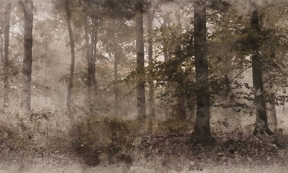 Tapeta Artystyczna Hazy forest
