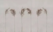 Fototapeta Anticci trawy 