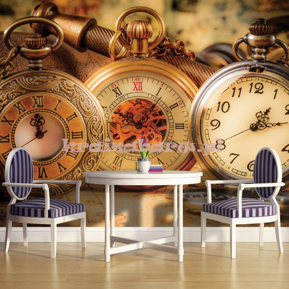 Fototapeta na flizelinie 1519VE Zegarki kieszonkowe