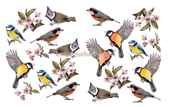 Naklejki na ścianę PTASZKI SPN448TD