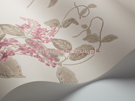 Tapeta 100/12058 Madras Violet