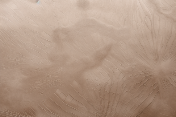 Tapeta Artystyczna Serenite Fossile SF100