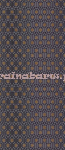 Tapeta 95/3015  Hicks' Hexagon
