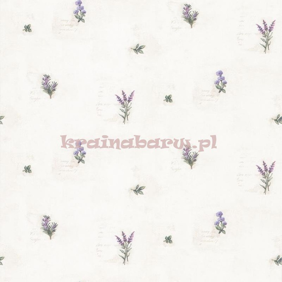 Tapeta z klejem KV27431 Fresh Kitchens 5