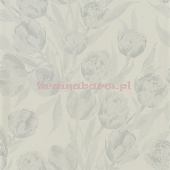 Tapeta PDG685/08 Marquisette