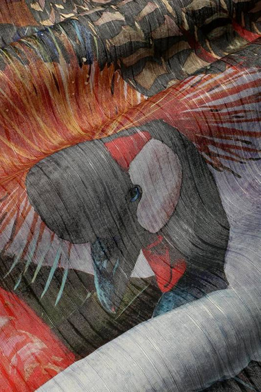 Fototapeta Kolorowe Ptaki Accent 2