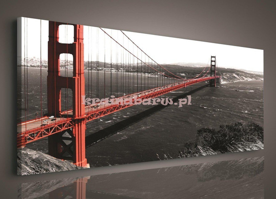 Obraz na płótnie PP103O Golden Gate