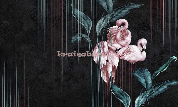 Fototapeta NAKURU I Różowe Flamingi na ciemnym tle