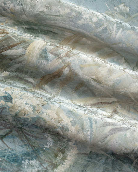 Fototapeta artystyczna Holly kwiaty trawy