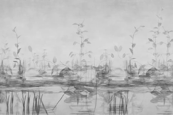 Fototapeta Glamora Stillness