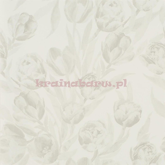 Tapeta PDG685/06 Marquisette