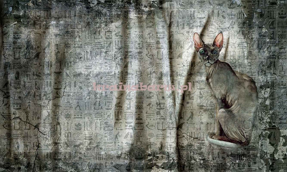 Fototapeta na flizelinie Raquel kangur