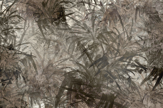 Fototapeta Ciemna Aura Liści