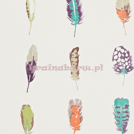 Tapeta 111073 Amazilia pióra