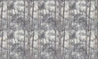 Fototapeta Wallart Temper