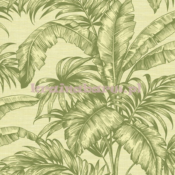 Tapeta w duże zielone  liście z srebystym akcentem na białym  tle 