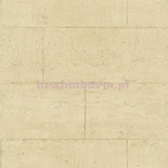 Tapeta G56394 Global Fusion