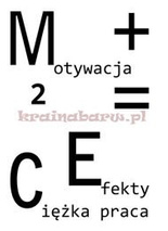 Naklejki na ścianę E=M+C2 SPN71