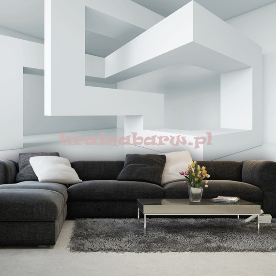 Fototapeta 2146 Przestrzenny wzór