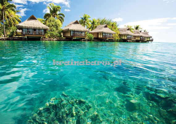 Fototapeta na flizelinie 224VE Consalnet