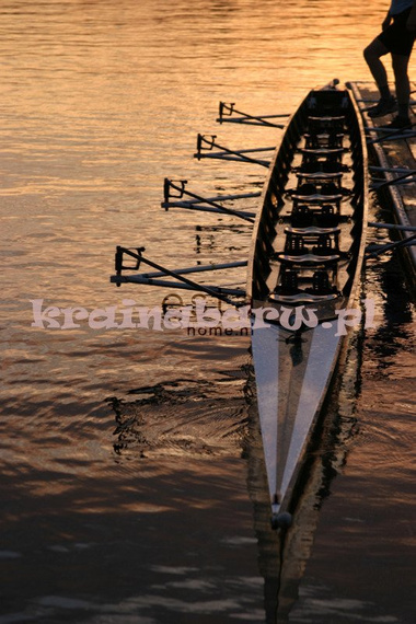 Panel 158803 College