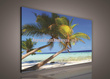 Obraz na płótnie PP143O Palmy