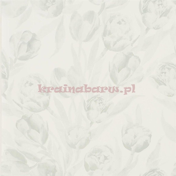 Tapeta PDG685/04 Marquisette