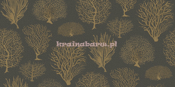 Tapeta 107/2006 Curio