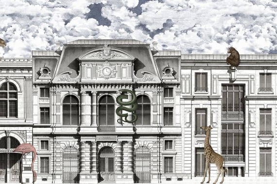 Fototapeta Animal Avenue