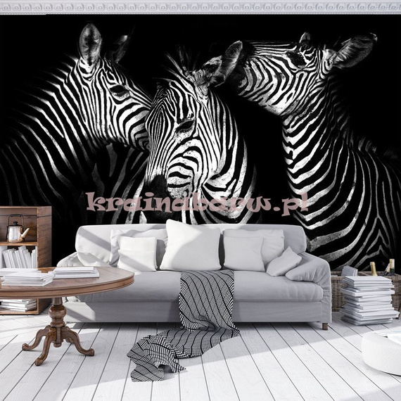 Fototapeta 11761 Zebry