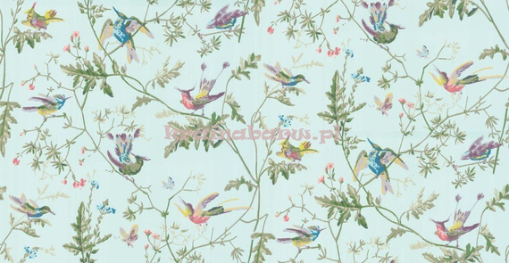 Tapeta 100/14069 Hummingbirds