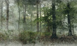 Tapeta Artystyczna Hazy forest