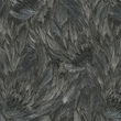 Tapeta Roberto Cavalli RC21001 pióra