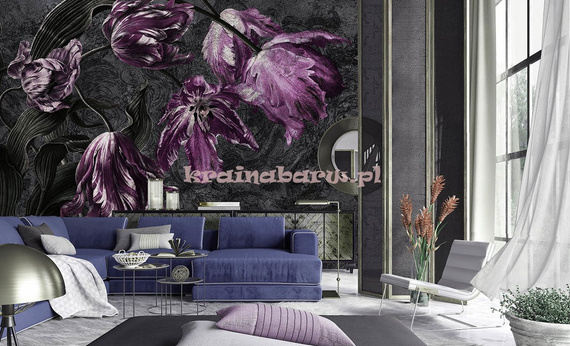 Fototapeta Tulipany fioletowe Belicia1