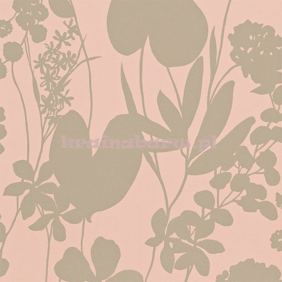 Tapeta 111051 Amazilia