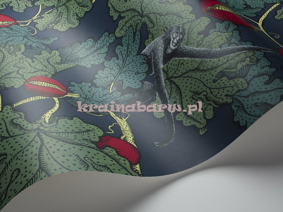 Tapeta 114/1001  Fornasetti Cole & Son